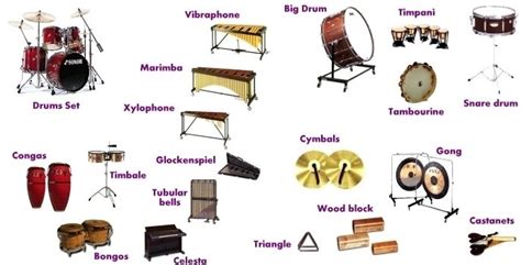 These are instruments are members of the percussion family | Types of ...