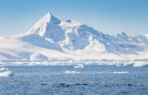 7 Interesting Facts About Mount Vinson In Antarctica | EnjoyTravel.com