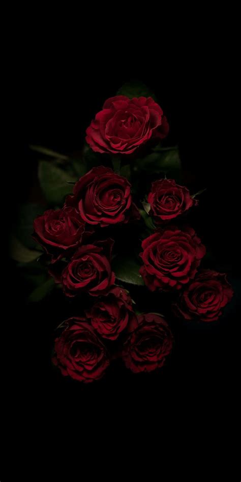 [24+] Goth Aesthetic Wallpaper on WallpaperSafari | Red roses wallpaper ...