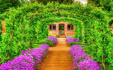 Vibrant Spring Garden HD Wallpaper: A Pathway of Greenery and Purple Blooms