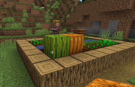 How to Plant Seeds and Grow Crops in Minecraft (2022 Guide) | Beebom