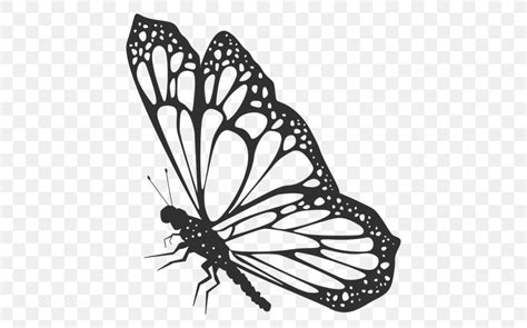 Monarch Butterfly Vector Graphics Illustration Silhouette, PNG ...