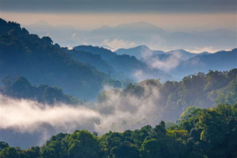 Thailand’s Kaeng Krachan Forest Complex added to World Heritage List