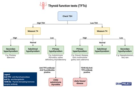 Thyroid Hormone Levels Chart