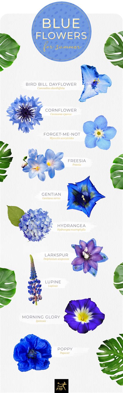 Types Of Flowers With Names And Meanings