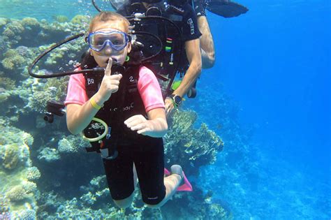 Introduction to Scuba Diving in Sharm el Sheikh, 1 Dive from Shore ...