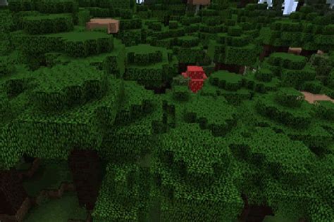 Causes of Dark Oak Sapling Not Growing In Minecraft?