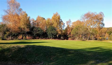 New Forest Golf Club - 15th Green - New Forest Golf Club