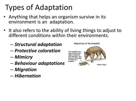 PPT - Genetic Variations PowerPoint Presentation - ID:2192898