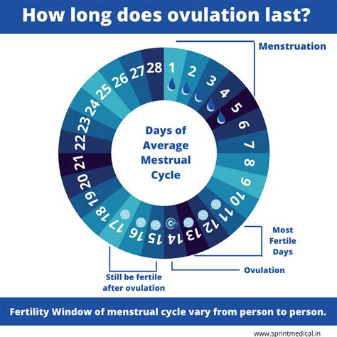 Scrieți busolă Numele tentativ pregnancy chance calculator papetărie ...