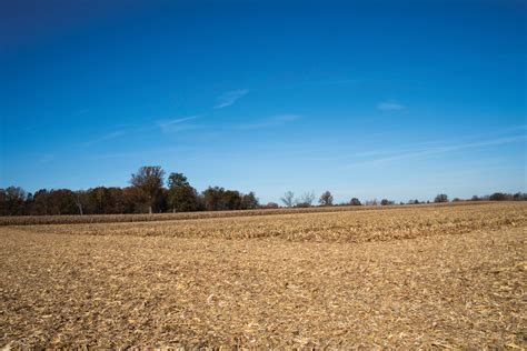 Is late corn harvest a result of summer wildfires? - Farm and Dairy