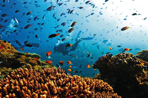 Guide to the Southern Great Barrier Reef - Tourism Australia