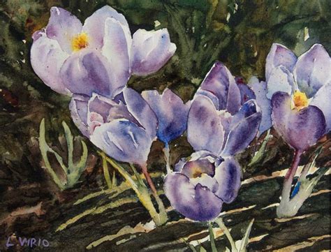 Early Purple Crocus | Flower painting, Botanical art, Watercolor flowers