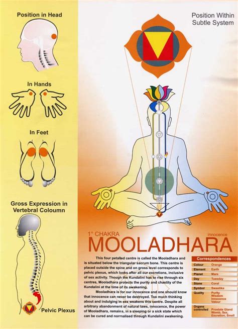 Mooladhara Chakra – Spreading Sahaja Yoga