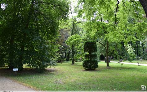 Arboretum Kórnickie, Kórnik - zdjęcia