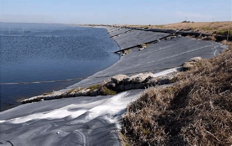 Tailing Ponds: What are they & how can we improve them?