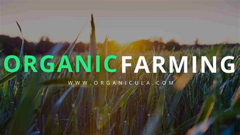 Organic Farming In India - Organicula