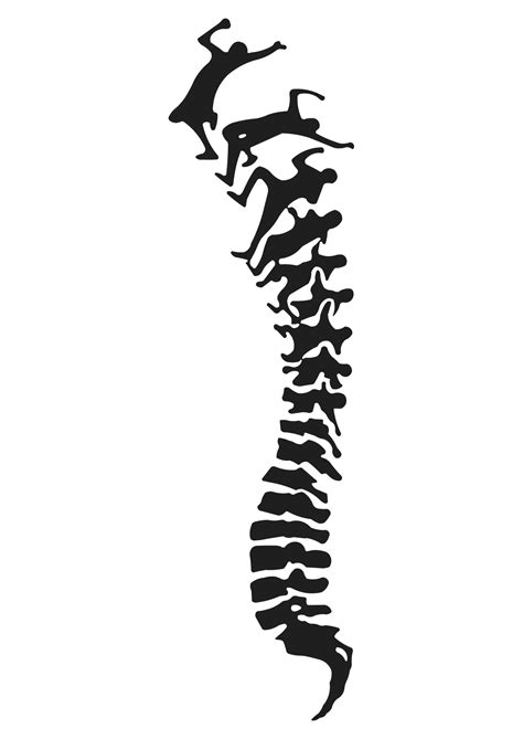 Spine Clipart | Free download on ClipArtMag