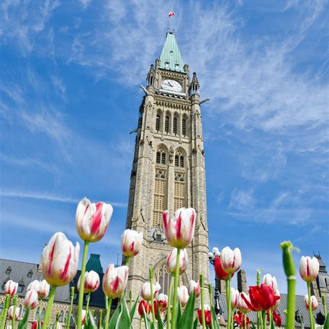 Top 10 Things to Do in Ottawa with Kids