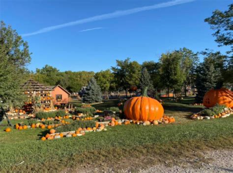 Visit Roca Berry Farm, One-Of-A-Kind Farm In Nebraska