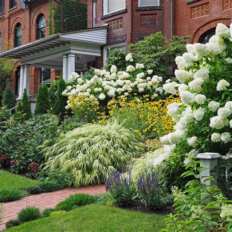 Decorative Shrubs For Front Yard | Shelly Lighting