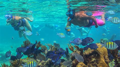 Top 5 places for snorkeling in Cancun | Riviera Maya Snorkeling