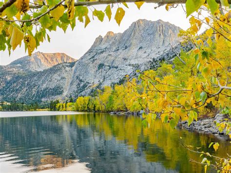 Fall Color Guide for Mammoth Lakes and Nearby Areas - Travel Guide ...