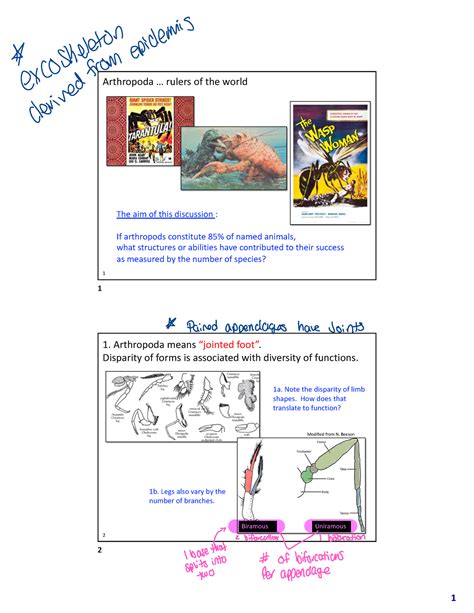 Ch 13 Arthropoda Anatomy - 1 Arthropoda ... rulers of the world en ...