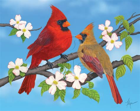 Cardinal Art Print -- Illustration of Red Cardinals on blue | Bird art ...