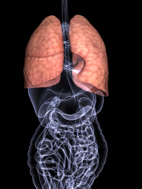 Dementia And Paranoia Treatment: Crackles In Lungs Treatment