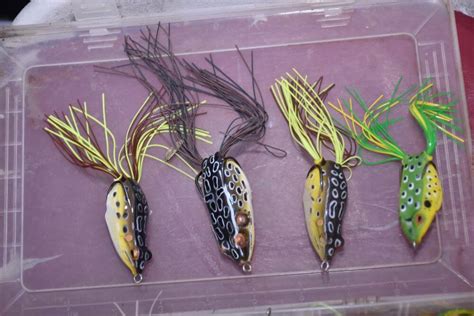 Best Weedless Lures for Bass: 5 Baits for Fishing Heavy Cover