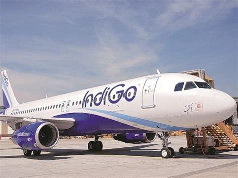 IndiGo becomes first airline to have over 2,000 daily scheduled flights ...