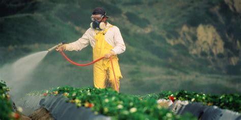 Pesticides On Fruits & Vegetables Linked To Poorer Semen Quality | HuffPost