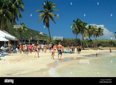 Cockleshell Bay and Turtle Beach area in St.Kitts Caribbean Stock Photo ...