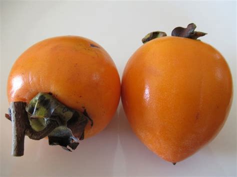 Kaki: Japanese Persimmon and How To Make Hosigaki (Dried Persimmon ...