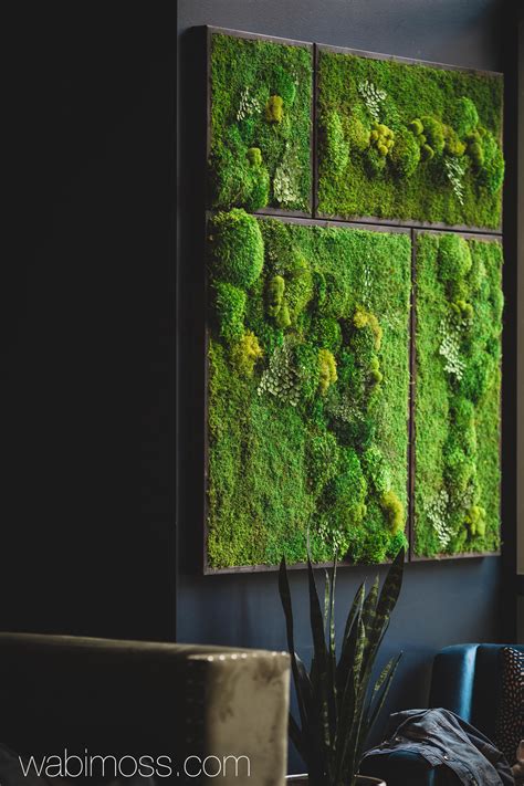 58x58" Real Preserved Moss Wall Art Green Wall Collage No Sticks. No ...