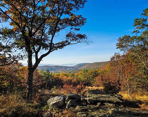 A Great Trail to See Fall Colors - BNRC