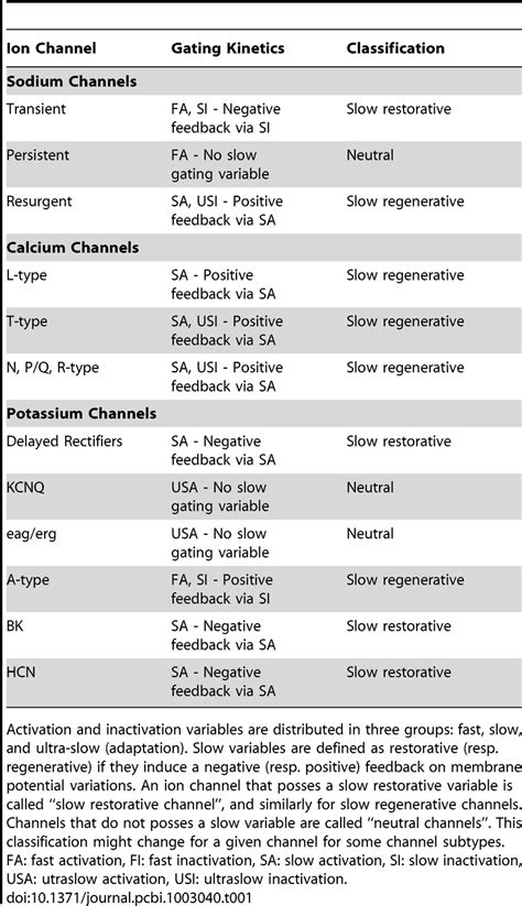 Classification of ion channels according to their gating kinetics ...