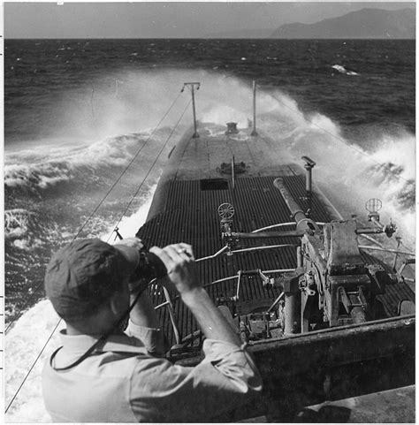 Veterans Saved the USS Batfish (SS-310) By Moving It to a Soybean Field ...