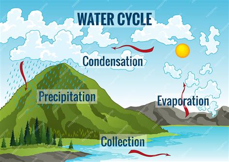 Evaporation Water Cycle