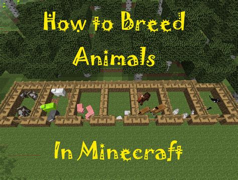 Mincraft How Long Before You Can Breed Cow Again - Ward Herefaing