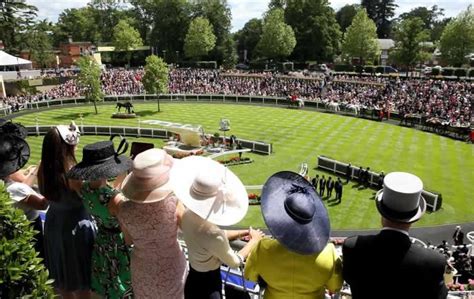 Ascot Racecourse - Festivals of Racing