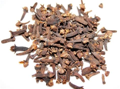 Clove Oil Extraction Methods, Process Guide | Agri Farming