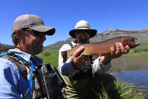 Wyoming Fly Fishing Pack Trips into Yellowstone for Cutthroat Trout ...