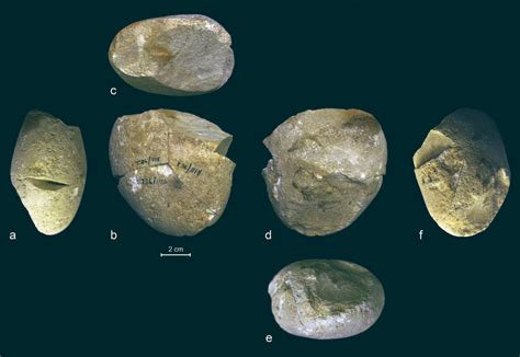 357,000-Year-Old Abrading Tool Unearthed in Israel | Archaeology | Sci ...