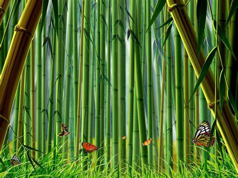 Bamboo Desktop Wallpapers - Wallpaper Cave