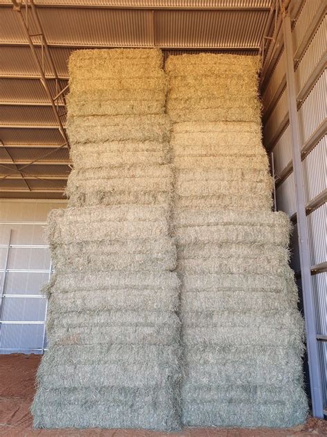 Buy Rhodes Grass Hay - Organic Hay