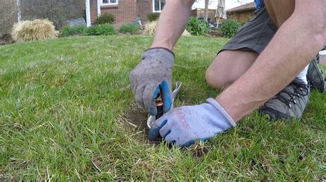 Making the switch to high-efficiency sprinkler heads | Denver Water