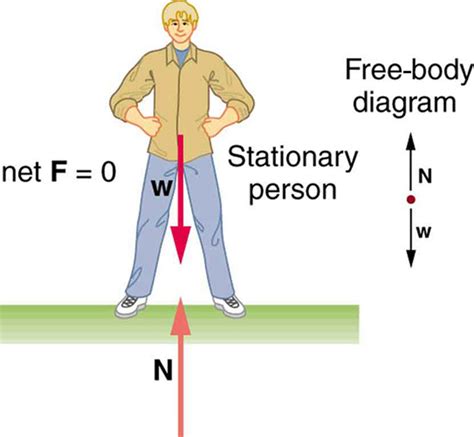 The First Condition for Equilibrium · Physics