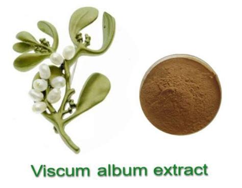 Viscum Album Extract - manufacturer - undersun